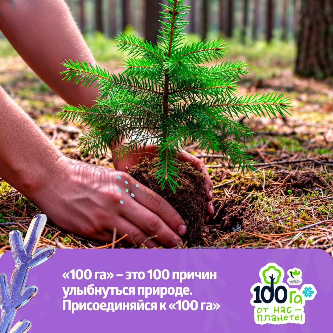 Осенний старт «100 га»: планета, дыши!
